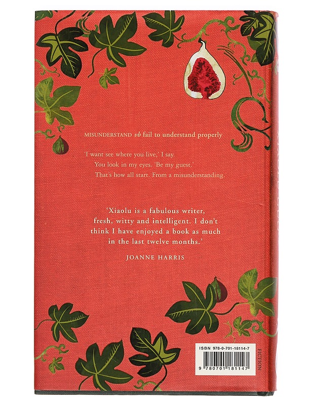 A concise chinese-english dictionary for lovers - Xiaolu Guo - Romaanit ja novellit - 10105381442 - 1