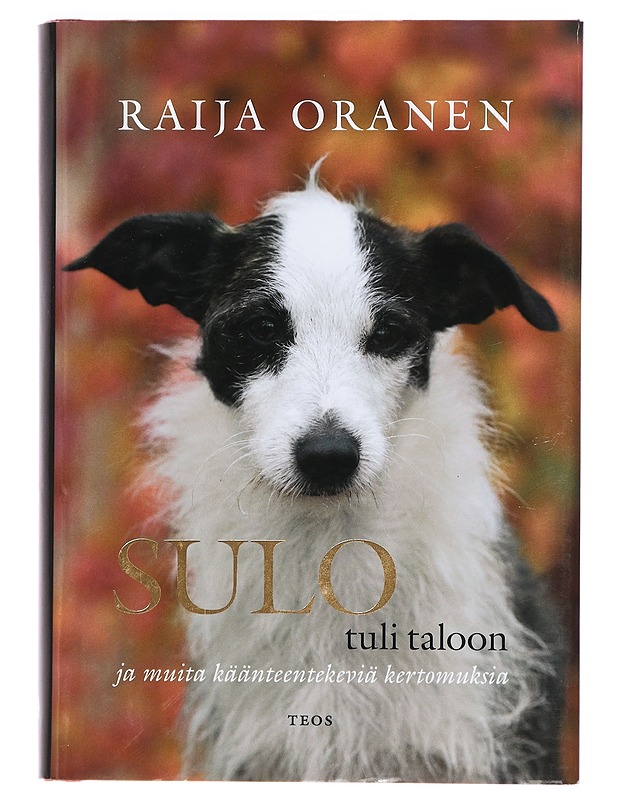 Sulo tuli taloon ja muita käänteentekeviä kertomuksia - Raija Oranen - Romaanit ja novellit - 10105381527 - 0