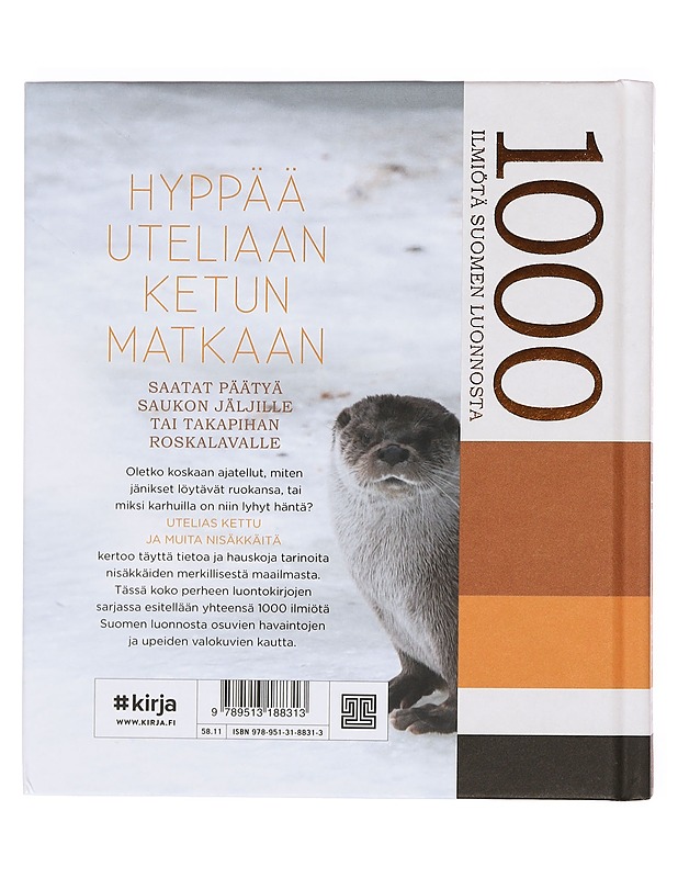 Utelias kettu ja muita nisäkkäitä - Laaksonen, Juha - Tietokirjat ja oppaat - 10105382382 - 1