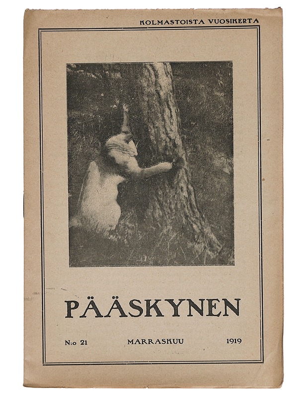 Pääskynen n:o 21 marraskuu 1919 - Helmi Krohn - Lehdet - 10105383035 - 0