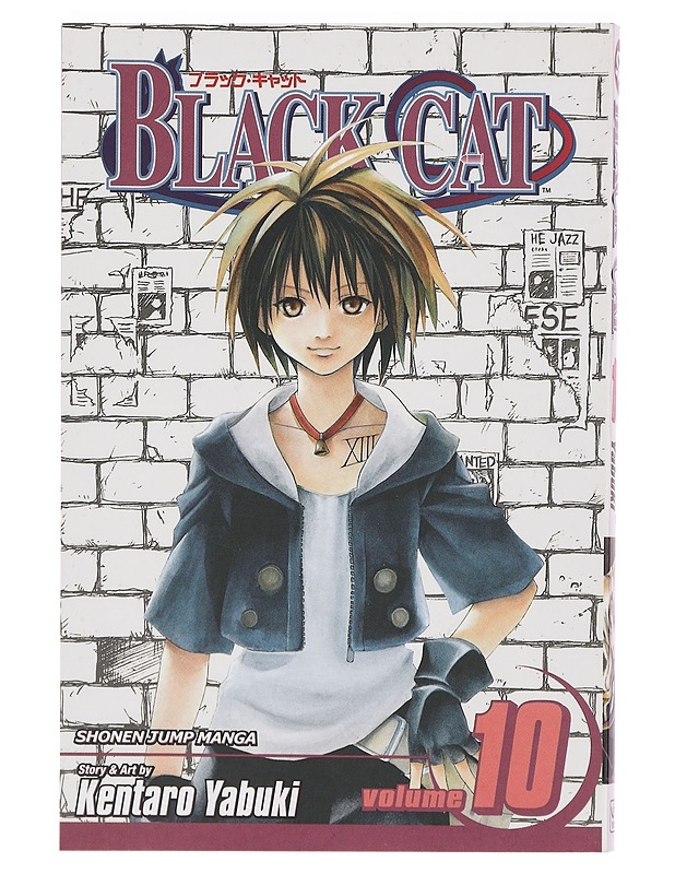 Black Cat Volume 10 - Kentaro Yabuki - Sarjakuvat - 10105383236 - 0