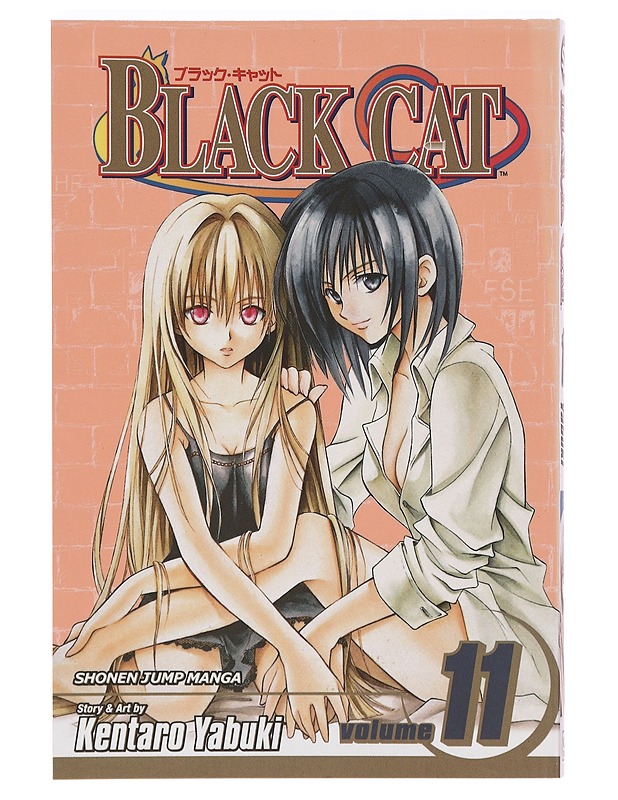 Black Cat Volume 11 - Kentaro Yabuki - Sarjakuvat - 10105383241 - 0