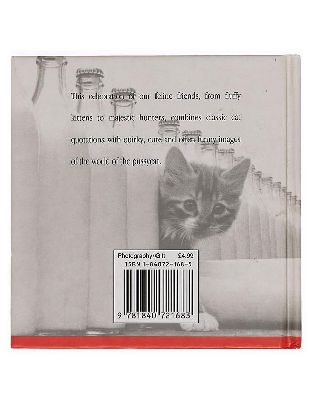 Pussycats - Hulton Getty - Lemmikki- ja luontokirjat - 10105383387 - 1