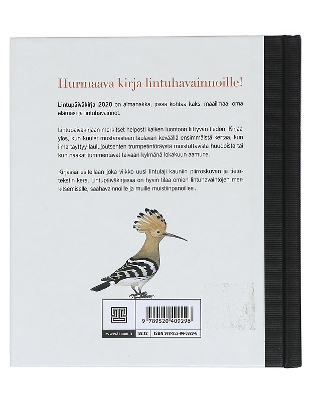 Lintupäiväkirja 2020 - Aronsson, Niklas - Harrastekirjat - 10105383705 - 1