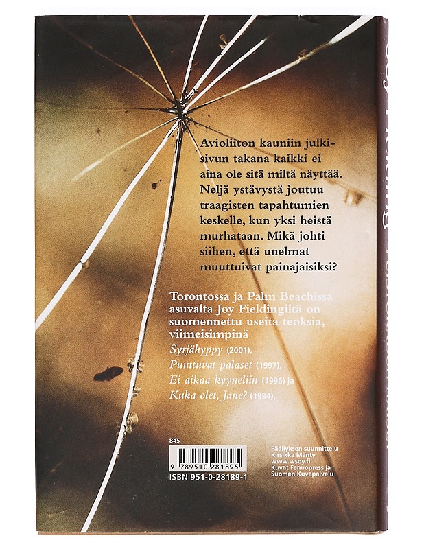 Puistokadun naiset - Fielding, Joy - Romaanit ja novellit - 10105383779 - 1