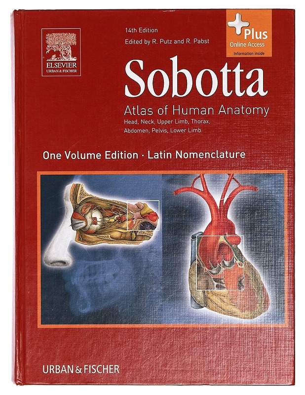 Sobotta atlas of human anatomy : head, neck, upper limb, thorax, abdomen, pelvis, lower limb - Sobotta, Johannes - Tietokirjat ja oppaat - 10105384162 - 0