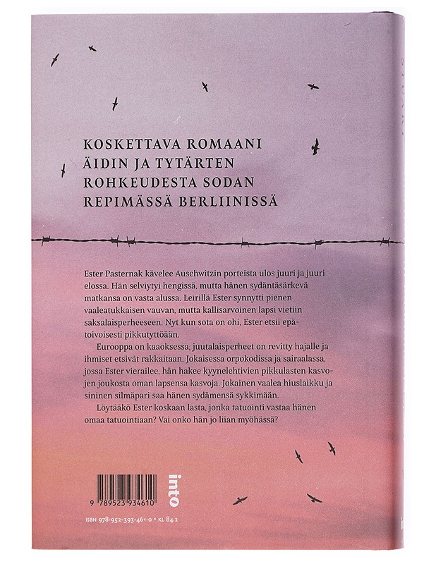 Auschwitzin kadonneet lapset - Stuart, Anna - Romaanit ja novellit - 10105384186 - 1
