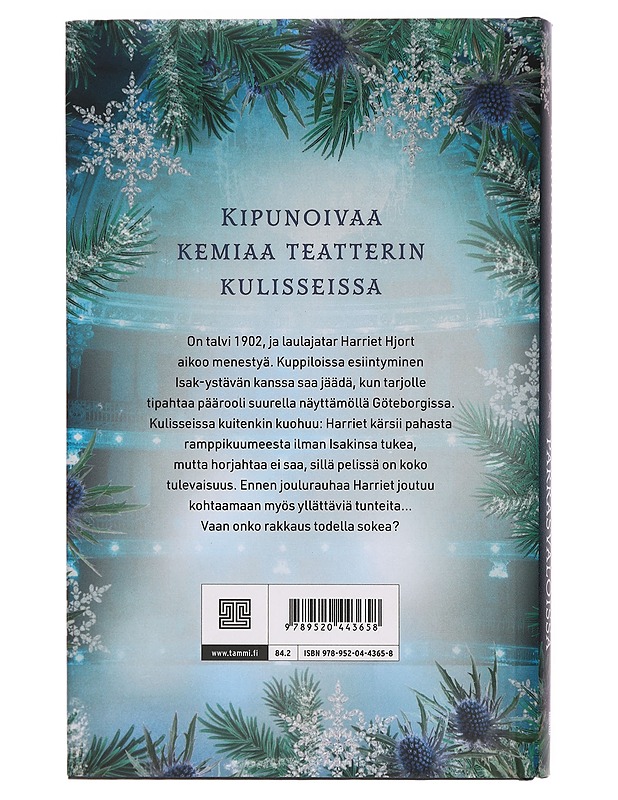 Joulu parrasvaloissa - Hellberg, Amanda - Historiakirjat - 10105384190 - 1