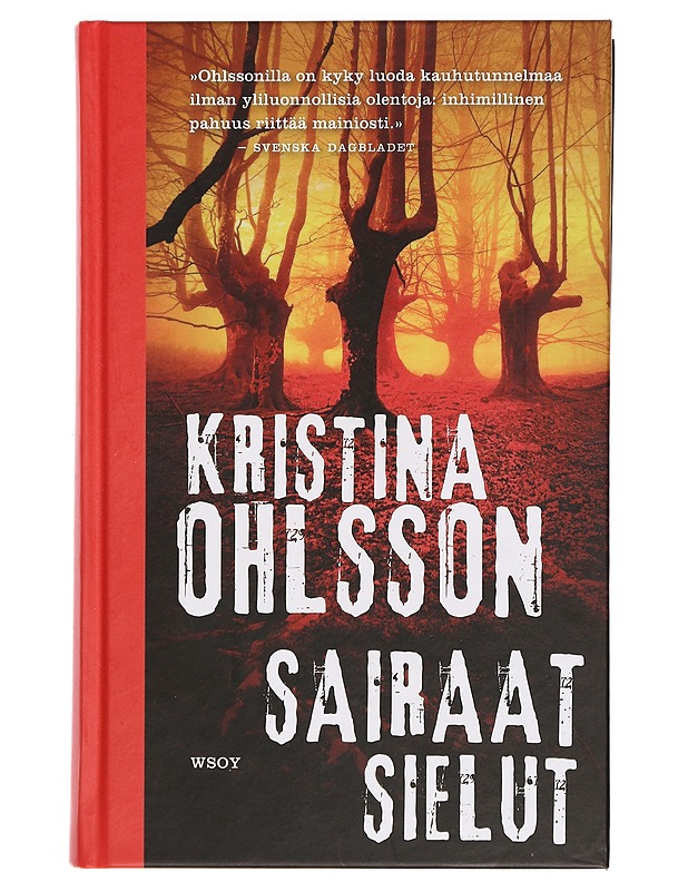Sairaat sielut - Ohlsson, Kristina - Romaanit ja novellit - 10105384558 - 0