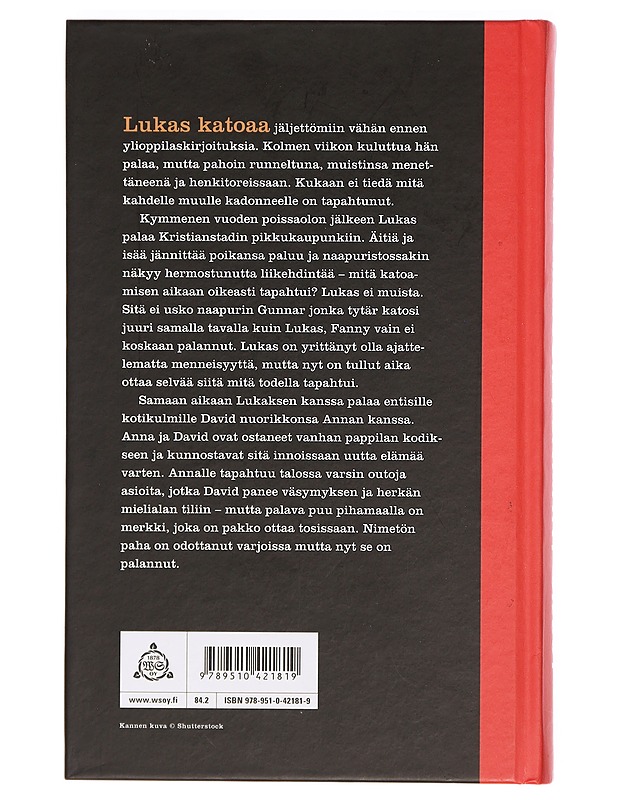 Sairaat sielut - Ohlsson, Kristina - Romaanit ja novellit - 10105384558 - 1