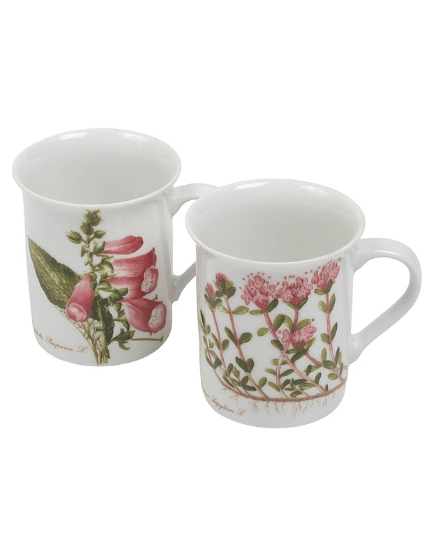 ESCHENBACH kahvikuppi, 4 paria - Mukit ja kahvikupit - 10105384586 - 1