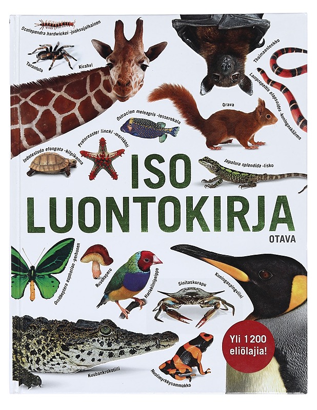 Iso luontokirja - Mills, Daniel - Tietokirjat ja oppaat - 10105384776 - 0