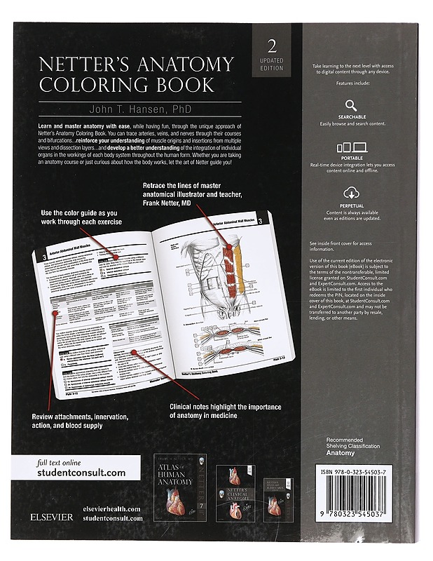 Netter's Anatomy Coloring Book Updated Edition - John T. Hansen - Tietokirjat ja oppaat - 10105385092 - 1