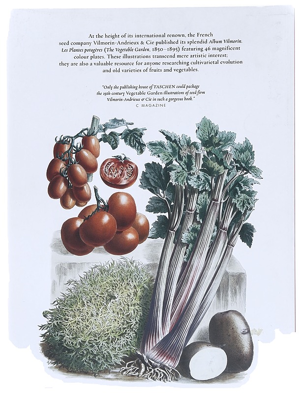 The Vegetable Garden -Dressendörfer, Werner - Ruokakirjat - 10105385713 - 1