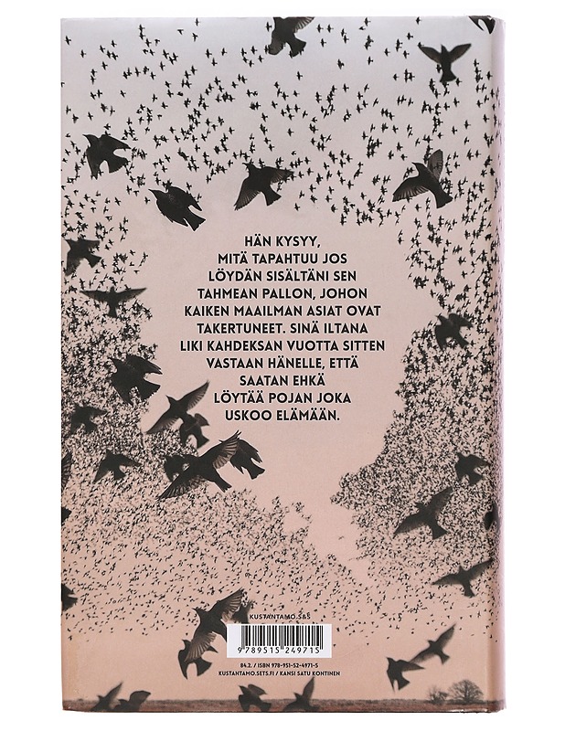 Ilma joka meitä ympäröi - Malmquist, Tom - Romaanit ja novellit - 10105385835 - 1