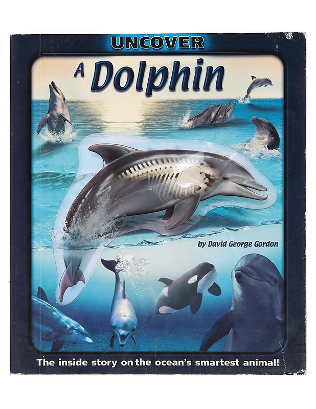 Uncover a Dolphin: The Inside Story on the Ocean's Smartest Animal! - David George Gordon - Tietokirjat ja oppaat - 10105386605 - 0