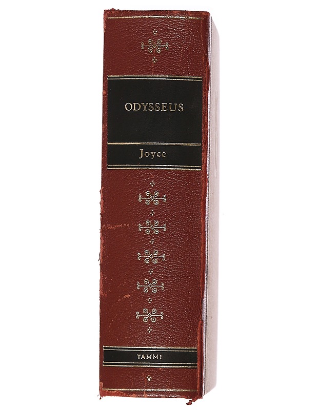 Odysseus - James Joyce - Romaanit ja novellit - 10105387363 - 1