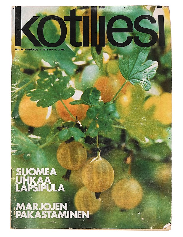 Kotiliesi N:o 14/1972 - Lehdet - 10105387781 - 0