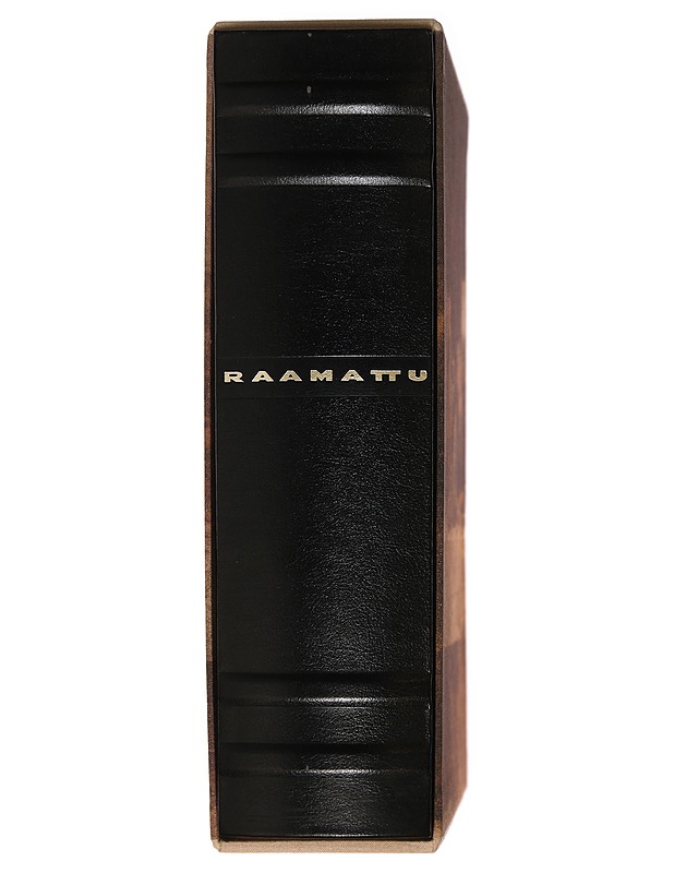 Raamattu - Historiakirjat - 10105387974 - 2