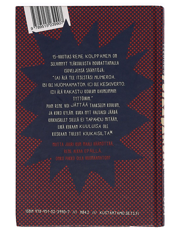 Kotitekoisen poikabändin alkeet - Harri Veistinen - Musiikki- ja elokuvakirjat - 10105388495 - 1
