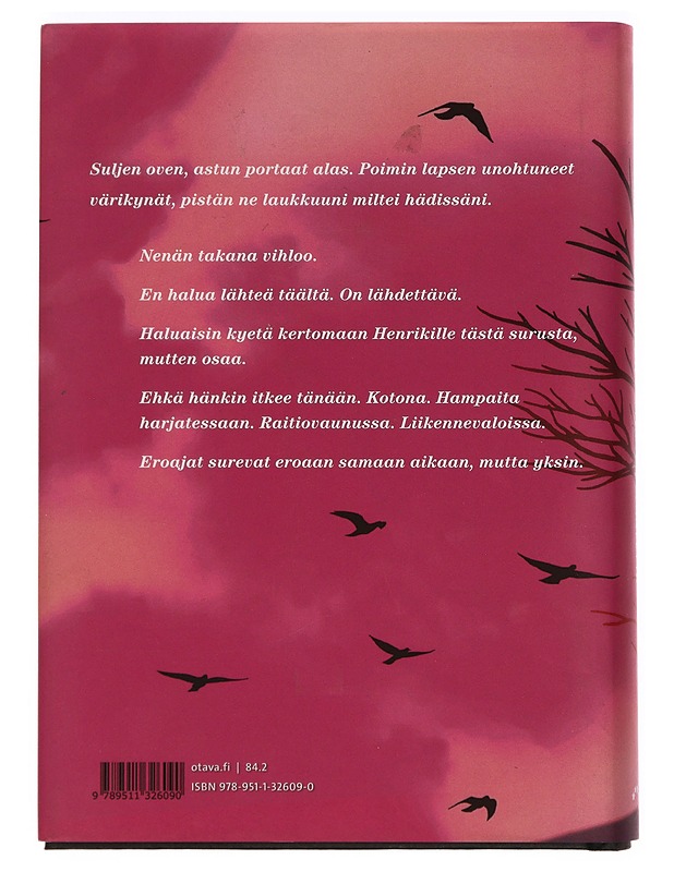 Lasten planeetta - Riikka Pulkkinen - Romaanit ja novellit - 10105388601 - 1