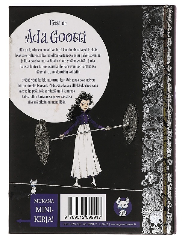 Ada Gootti ja hiiren haamu - Riddell, Chris - Lastenkirjat - 10105388732 - 1