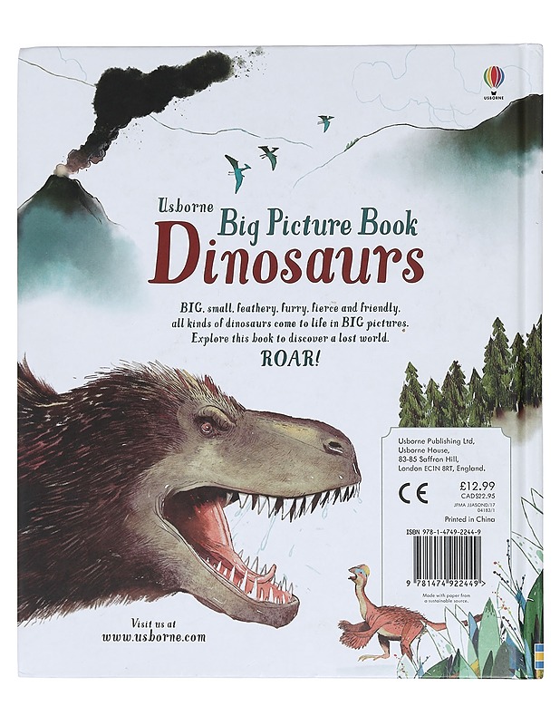 Dinosaurs - Cowan, Laura - Lastenkirjat - 10105389356 - 1
