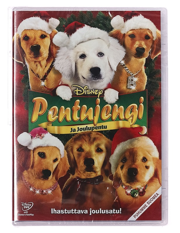 Pentujengi ja joulupentu - DVD - DVD-elokuvat - 10105389417 - 0
