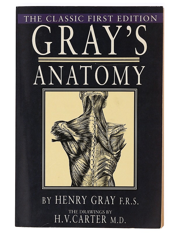 Gray's anatomy - Henry Gray - Tietokirjat ja oppaat - 10105389583 - 0