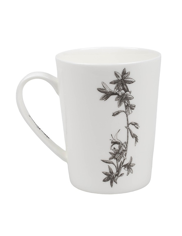 MARINI FELLAZZO COLLECTION muki - Mukit ja kahvikupit - 10105389624 - 1