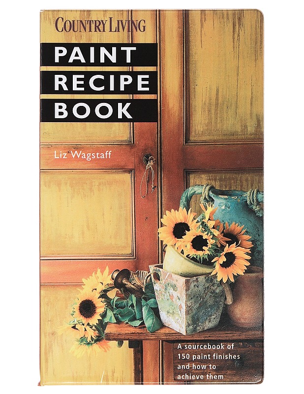 Paint Recipe Book - Liz Wagstaff - Tietokirjat ja oppaat - 10105390594 - 0