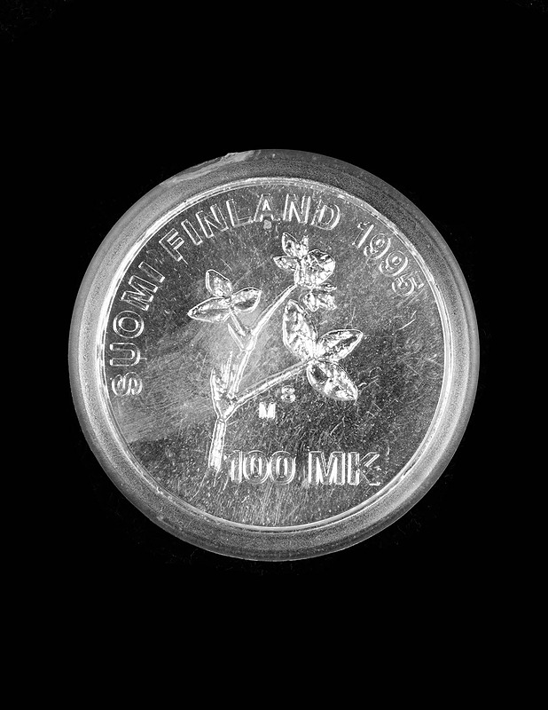 100 markkaa 1995 A. I. Virtanen - Muut sisustustavarat - 10105390721 - 0