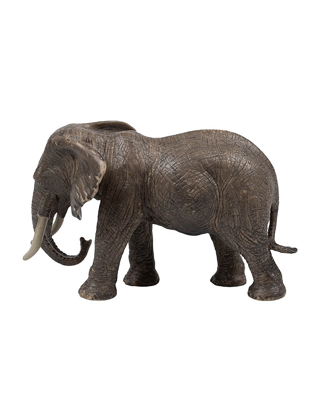 SCHLEICH Afrikannorsu figuuri - Lasten lelut - 10105390854 - 1