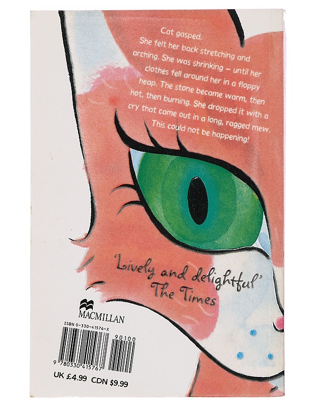 Cat and the Stinkwater War - Kate Saunders - Lastenkirjat - 10105391523 - 1