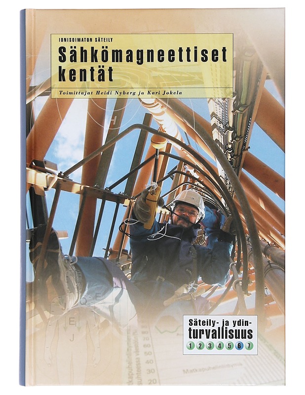 Sähkömagneettiset kentät - Nyberg, Heidi - Tietokirjat ja oppaat - 10105391530 - 0