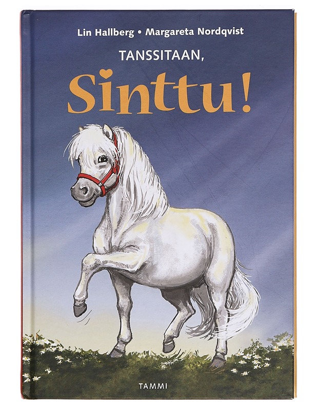 Tanssitaan, Sinttu! - Hallberg, Lin - Lastenkirjat - 10105391858 - 0