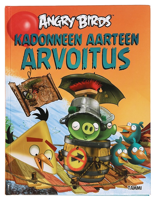 Kadonneen aarteen arvoitus - Bagge, Tapani - Lastenkirjat - 10105391929 - 0