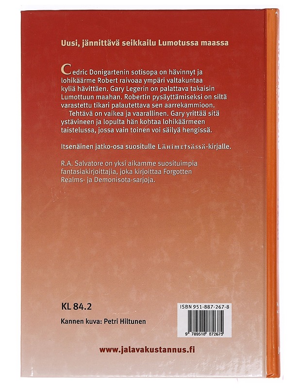 Lohikäärmeen tikari - Salvatore, R. A. - Fantasia- ja scifi - 10105392156 - 1