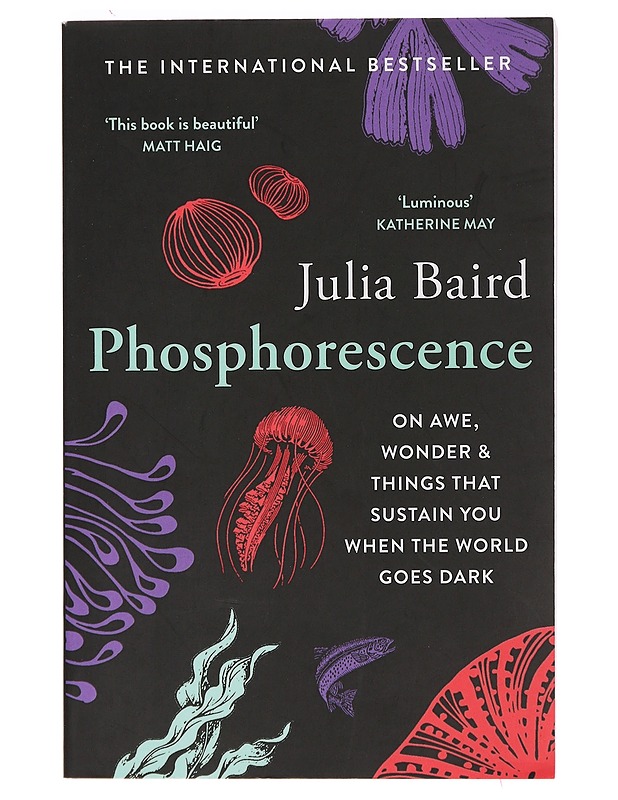 Phosphorescence - Baird, Julia - Tietokirjat ja oppaat - 10105392465 - 0