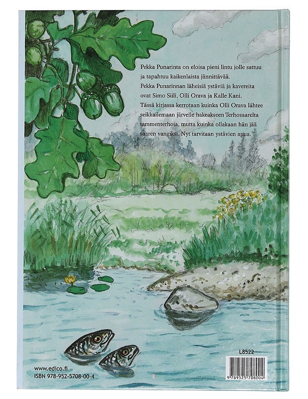 Pekka Punarinta saa pullopostia - Karinen, Tapani - Lastenkirjat - 10105392521 - 1