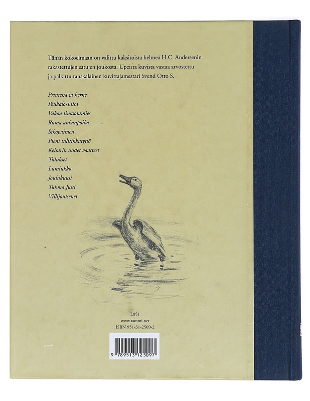 Kauneimmat sadut - Andersen, H. C. - Lastenkirjat - 10105392600 - 1