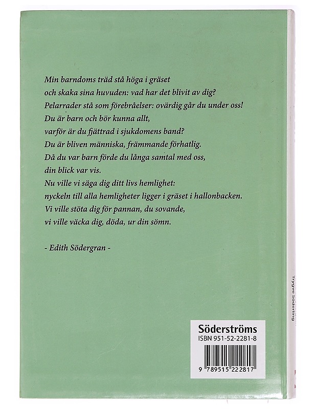 Bokskogen : litteratur för gymnasiet - Ritamäki-Johansson, Iris - Tietokirjat ja oppaat - 10105392990 - 1