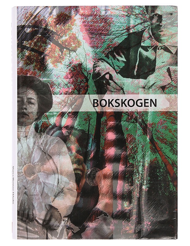 Bokskogen : litteratur för gymnasiet - Ritamäki-Johansson, Iris - Tietokirjat ja oppaat - 10105392990 - 0