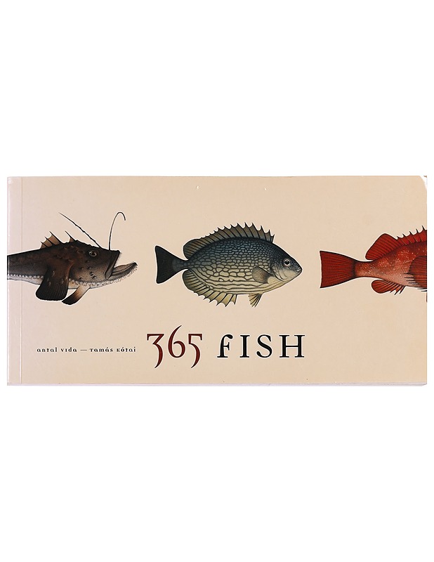 365 fish - Antal Vida, Tamás Kótai - Tietokirjat ja oppaat - 10105393071 - 0