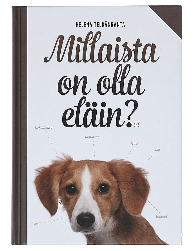Millaista on olla eläin? - Helena Telkänranta - Tietokirjat ja oppaat - 10105393458 - 0