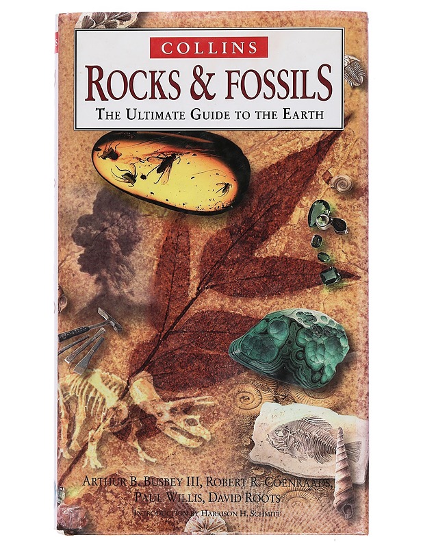 Rocks & fossils - Busbey, Arthur B. - Tietokirjat ja oppaat - 10105393659 - 0