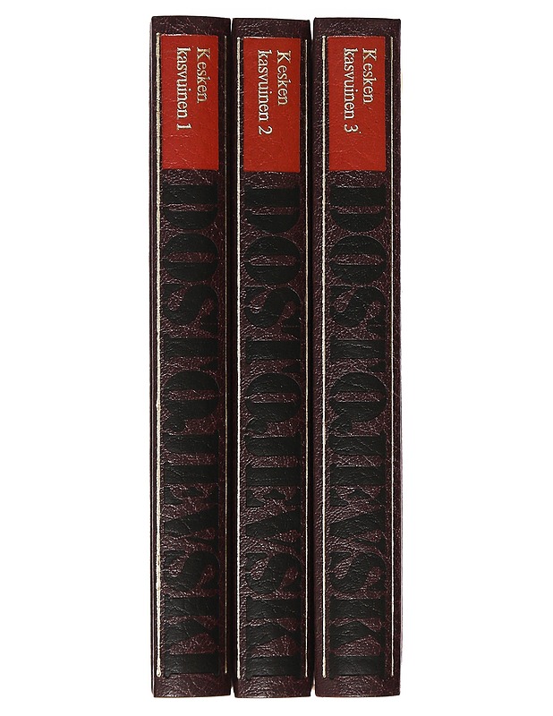 Keskenkasvuinen 1-3 - Dostojevski, F. M. - Romaanit ja novellit - 10105394226 - 0