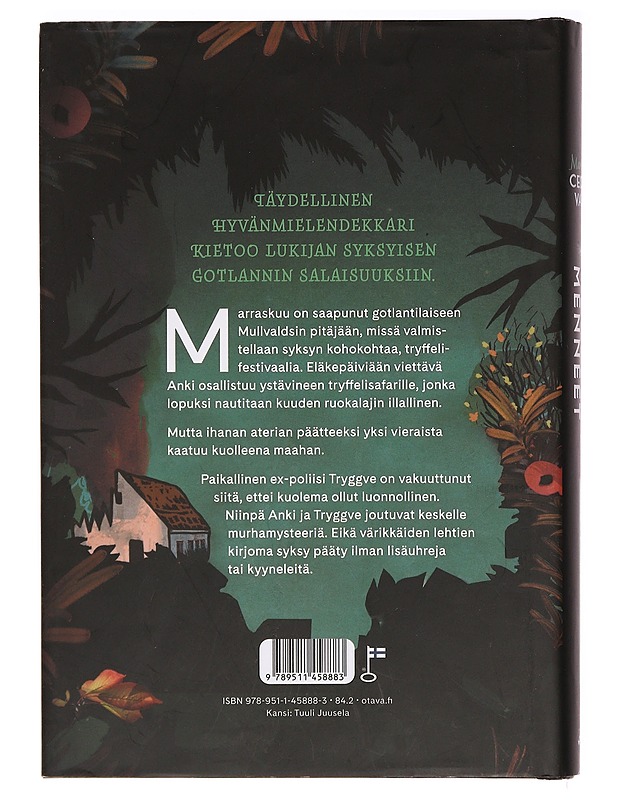 Haudataan menneet - Cedervall, Marianne - Jännitys ja dekkarit - 10105394359 - 1