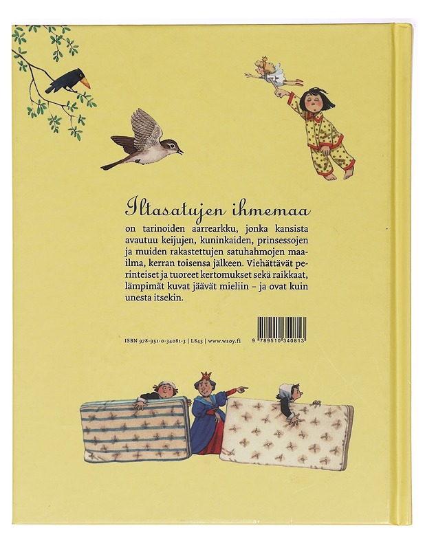 Iltasatujen ihmemaa - Hawthorn, Philip - Lastenkirjat - 10105394771 - 1