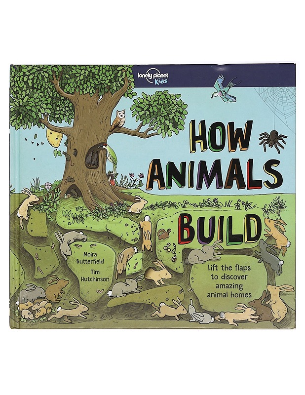 How Animals Build - Moira Butterfield - Lastenkirjat - 10105394894 - 0